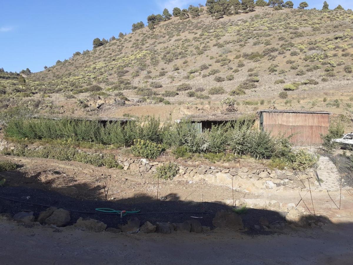 Casa Rural Los Santillos El Pinar  ภายนอก รูปภาพ