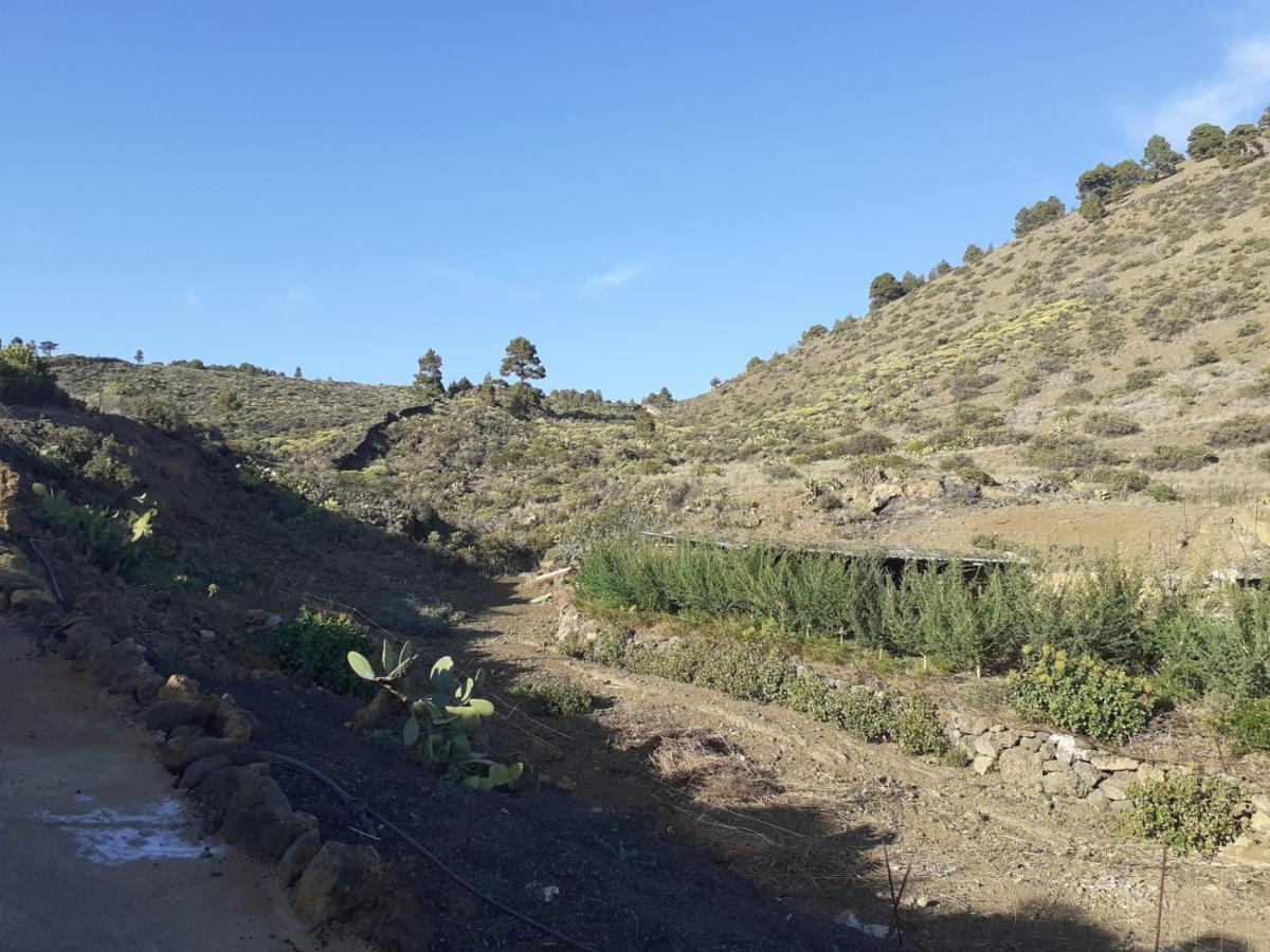 Casa Rural Los Santillos El Pinar  ภายนอก รูปภาพ